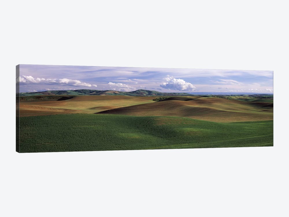 Clouds over a rolling landscape, Palouse, Whitman County, Washington State, USA by Panoramic Images 1-piece Canvas Art Print