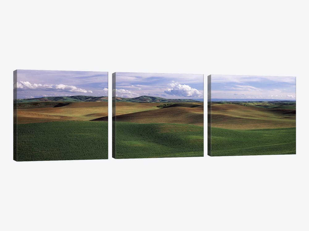 Clouds over a rolling landscape, Palouse, Whitman County, Washington State, USA by Panoramic Images 3-piece Art Print