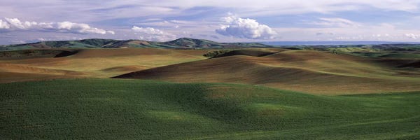 Washington: Clouds over a rolling landscape, Palouse, Whitman County, Washington State, USA by Panoramic Images