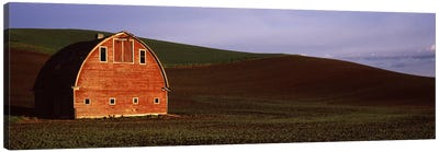 Barn in a field at sunset, Palouse, Whitman County, Washington State, USA #2 Canvas Art Print - Barns