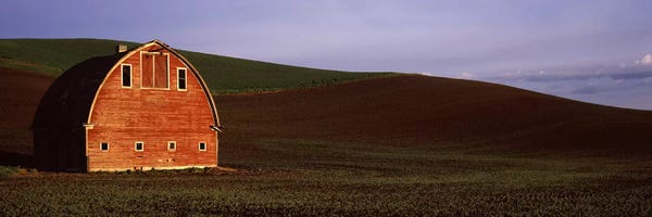Barn in a field at sunset II, Palouse, Whitman County, Washington State, USA