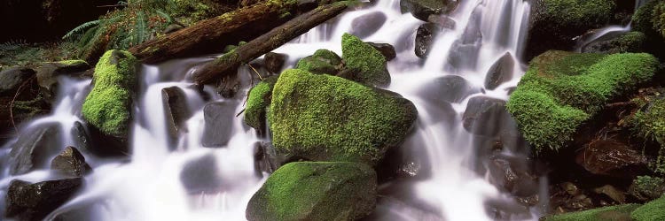 Cascading waterfall in a rainforest, Olympic National Park, Washington State, USA