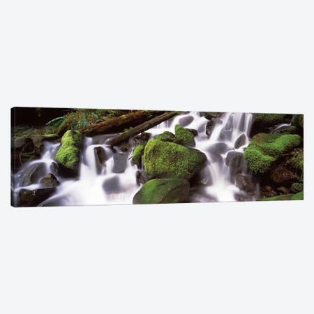 Cascading waterfall in a rainforest, Olympic National Park, Washington State, USA Canvas Print #PIM7533} by Panoramic Images Art Print