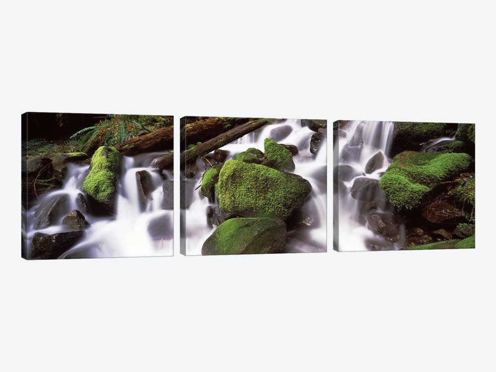 Cascading waterfall in a rainforest, Olympic National Park, Washington State, USA by Panoramic Images 3-piece Canvas Artwork