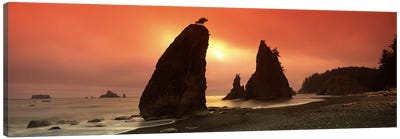 Silhouette of seastacks at sunset, Olympic National Park, Washington State, USA Canvas Art Print