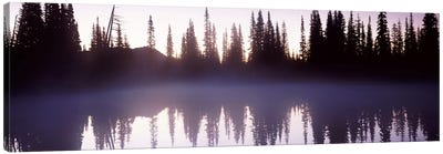 Reflection of trees in a lake, Mt Rainier, Pierce County, Washington State, USA Canvas Art Print - Mount Rainier National Park Art