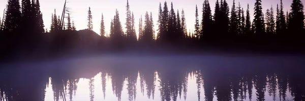 Washington: Reflection of trees in a lake, Mt Rainier, Pierce County, Washington State, USA by Panoramic Images