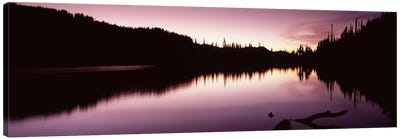 Reflection of trees in a lake, Mt Rainier, Pierce County, Washington State, USA #2 Canvas Art Print