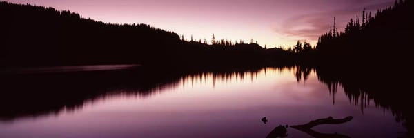 Washington: Reflection of trees in a lake, Mt Rainier, Pierce County, Washington State, USA #2 by Panoramic Images