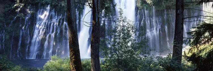 Burney Falls As Seen Through A Forest Landscape, McArthur-Burney Falls Memorial State Park, California, USA