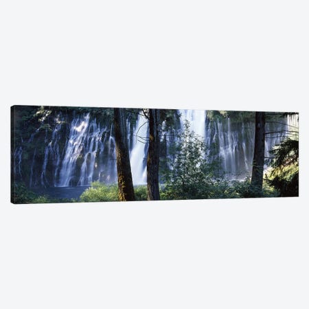 Burney Falls As Seen Through A Forest Landscape, McArthur-Burney Falls Memorial State Park, California, USA Canvas Print #PIM7549} by Panoramic Images Canvas Artwork