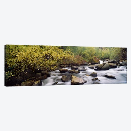 River passing through a forestInyo County, California, USA Canvas Print #PIM7551} by Panoramic Images Canvas Print