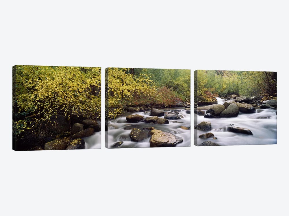 River passing through a forestInyo County, California, USA by Panoramic Images 3-piece Canvas Art