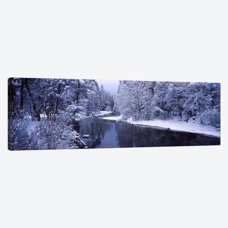 Snow covered trees along a river, Yosemite National Park, California, USA Canvas Print #PIM7555} by Panoramic Images Canvas Wall Art