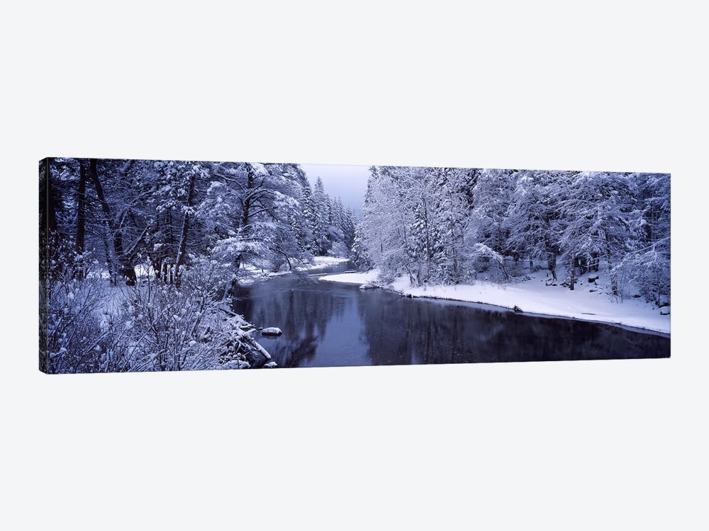 Snow covered trees along a river, Yosemite National Park, California, USA by Panoramic Images 1-piece Canvas Art