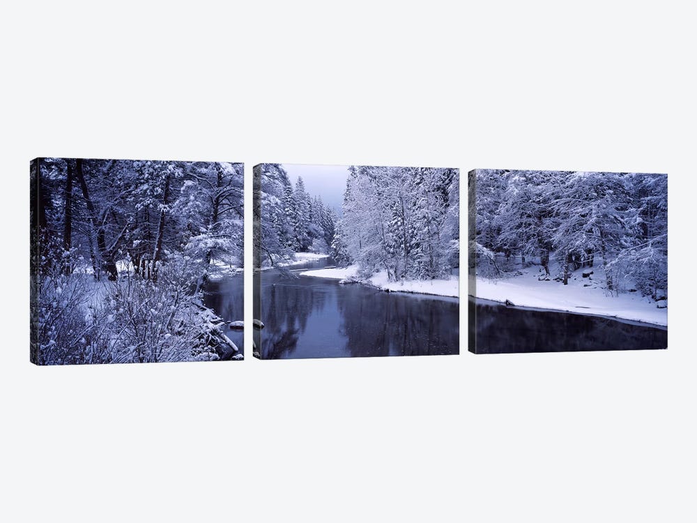 Snow covered trees along a river, Yosemite National Park, California, USA by Panoramic Images 3-piece Canvas Art