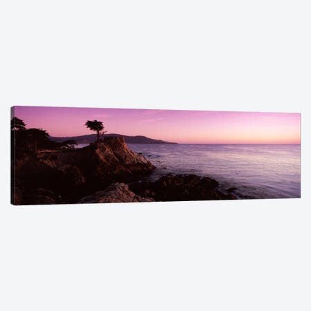 Coastal Landscape Featuring The Lone Cypress, Pebble Beach, Monterey County, California, USA Canvas Print #PIM7584} by Panoramic Images Art Print