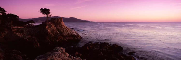 Coastal Landscape Featuring The Lone Cypress, Pebble Beach, Monterey County, California, USA