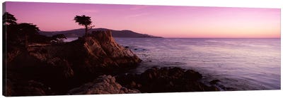 Coastal Landscape Featuring The Lone Cypress, Pebble Beach, Monterey County, California, USA Canvas Art Print - Monterey