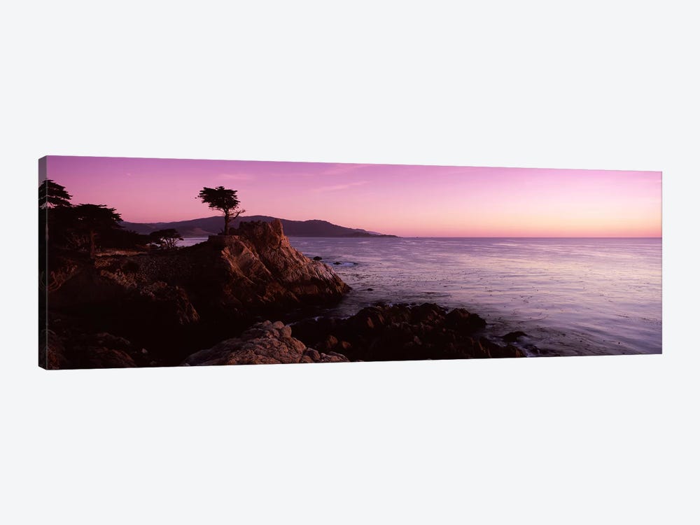 Coastal Landscape Featuring The Lone Cypress, Pebble Beach, Monterey County, California, USA by Panoramic Images 1-piece Canvas Artwork