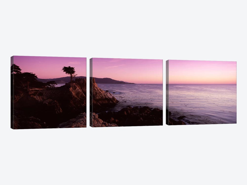 Coastal Landscape Featuring The Lone Cypress, Pebble Beach, Monterey County, California, USA by Panoramic Images 3-piece Canvas Artwork