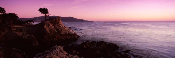 Monterey: Coastal Landscape Featuring The Lone Cypress, Pebble Beach, Monterey County, California, USA by Panoramic Images