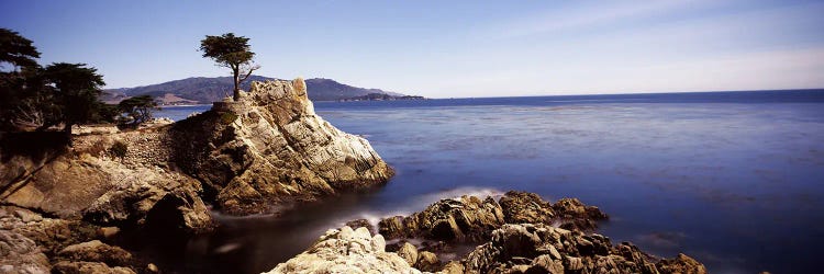 Lone Cypress, Pebble Beach, Monterey County, California, USA