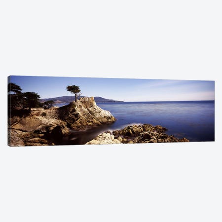 Lone Cypress, Pebble Beach, Monterey County, California, USA Canvas Print #PIM7585} by Panoramic Images Canvas Print