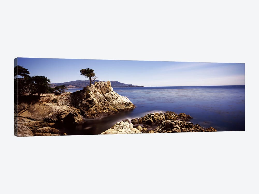Lone Cypress, Pebble Beach, Monterey County, California, USA by Panoramic Images 1-piece Canvas Print