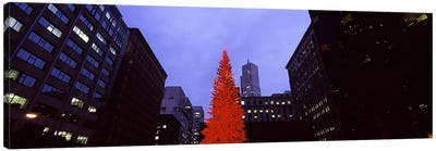 Low angle view of a Christmas tree, San Francisco, California, USA Canvas Art Print - Holiday & Seasonal Art