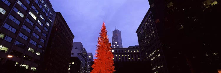 Low angle view of a Christmas tree, San Francisco, California, USA