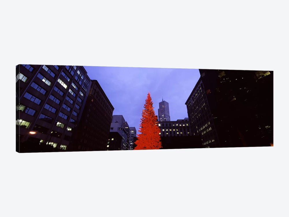Low angle view of a Christmas tree, San Francisco, California, USA by Panoramic Images 1-piece Art Print