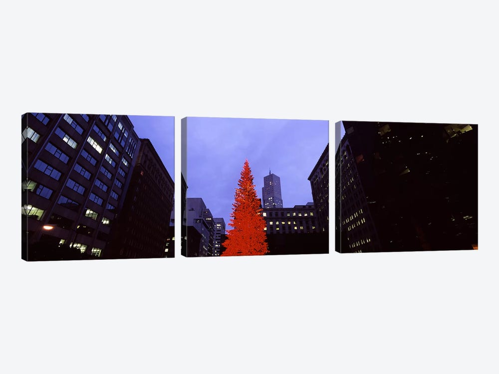 Low angle view of a Christmas tree, San Francisco, California, USA by Panoramic Images 3-piece Canvas Art Print