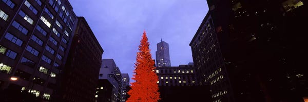 Low angle view of a Christmas tree, San Francisco, California, USA