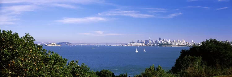 Sea with the Bay Bridge and Alcatraz Island in the background, San Francisco, Marin County, California, USA