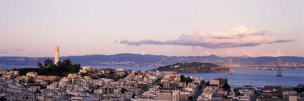 San Francisco Skylines: High angle view of a city, Coit Tower, Telegraph Hill, San Francisco, California, USA by Panoramic Images