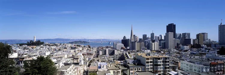 High angle view of a city, Coit Tower, Telegraph Hill, Bay Bridge, San Francisco, California, USA