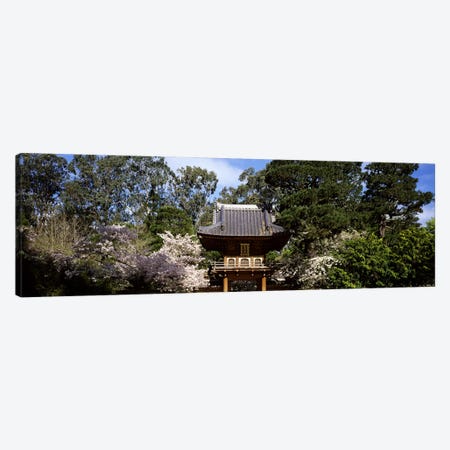 Cherry Blossom trees in a garden, Japanese Tea Garden, Golden Gate Park, San Francisco, California, USA Canvas Print #PIM7723} by Panoramic Images Canvas Artwork