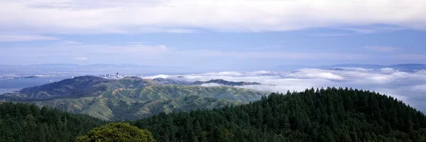 San Francisco: View of San Francisco from Mt Tamalpais, Marin County, California, USA by Panoramic Images