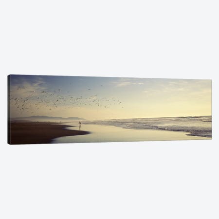 Flock of seagulls flying above a woman on the beach, San Francisco, California, USA Canvas Print #PIM7734} by Panoramic Images Canvas Art