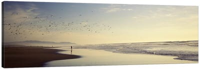 Flock of seagulls flying above a woman on the beach, San Francisco, California, USA Canvas Art Print - San Francisco Art