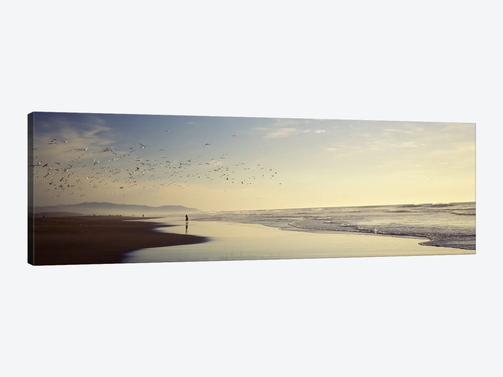 Flock of seagulls flying above a woman on the beach, San Francisco, California, USA by Panoramic Images 1-piece Canvas Wall Art