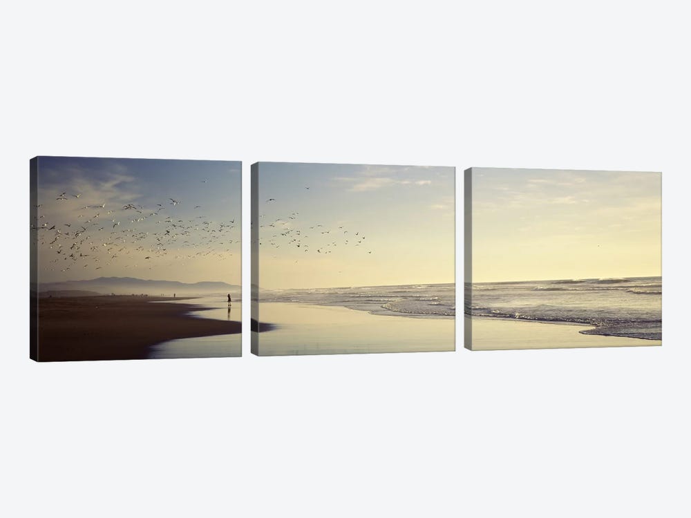 Flock of seagulls flying above a woman on the beach, San Francisco, California, USA by Panoramic Images 3-piece Canvas Wall Art