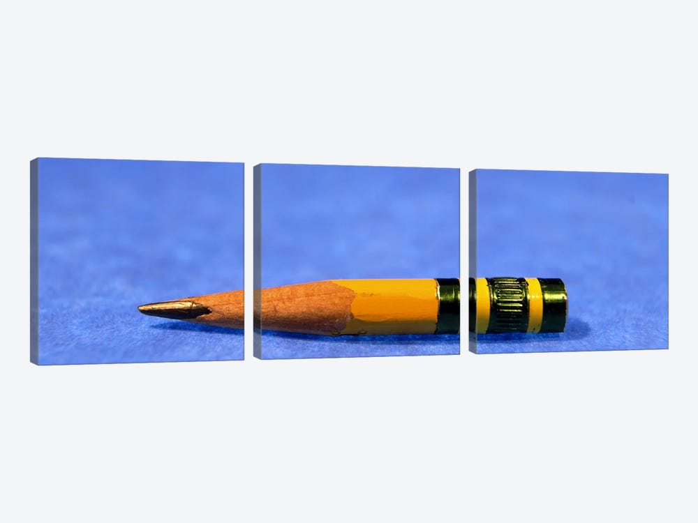 Close-up of a pencil nub by Panoramic Images 3-piece Canvas Print