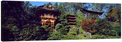 Pagodas in a park, Japanese Tea Garden, Golden Gate Park, Asian Art Museum, San Francisco, California, USA Canvas Art Print - Buddhism Art