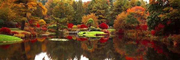 San Francisco: Reflection of trees in waterJapanese Tea Garden, Golden Gate Park, Asian Art Museum, San Francisco, California, USA by Panoramic Images