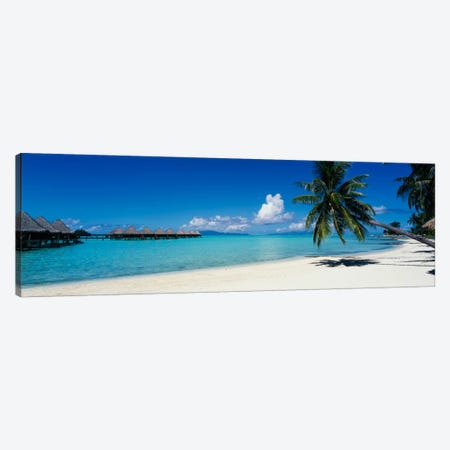 Tropical Landscape, Society Islands, French Polynesia Canvas Print #PIM775} by Panoramic Images Canvas Print