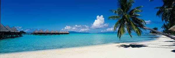 French Polynesia: Tropical Landscape, Society Islands, French Polynesia by Panoramic Images
