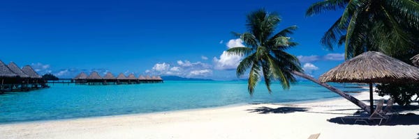 French Polynesia: Tropical Beach, Bora Bora, Leeward Islands, Society Islands, French Polynesia by Panoramic Images