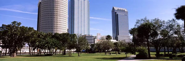 Buildings in a city viewed from a park, Plant Park, University Of Tampa, Tampa, Hillsborough County, Florida, USA